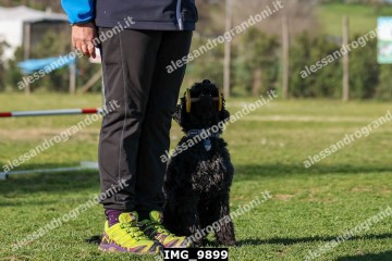 IMG_9899.jpg