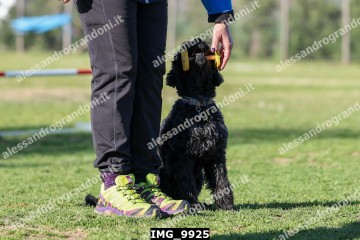 IMG_9925.jpg