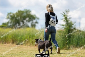IMG_0952.jpg
