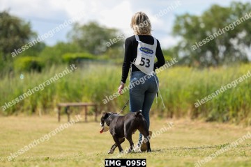 IMG_0956.jpg
