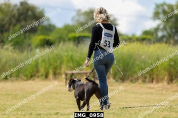 IMG_0958.jpg