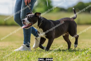 IMG_0968.jpg