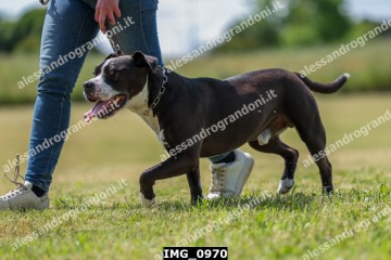 IMG_0970.jpg