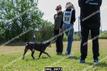 IMG_0972.jpg