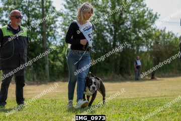 IMG_0973.jpg