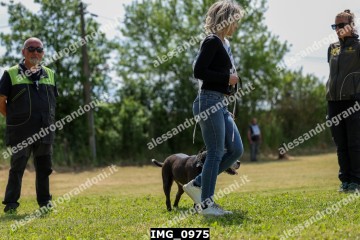 IMG_0975.jpg