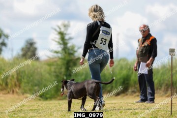 IMG_0979.jpg