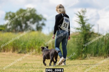 IMG_0981.jpg