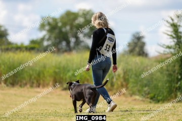 IMG_0984.jpg