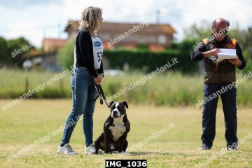 IMG_1036.jpg