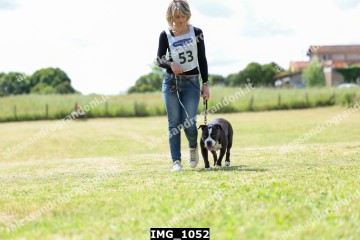 IMG_1052.jpg