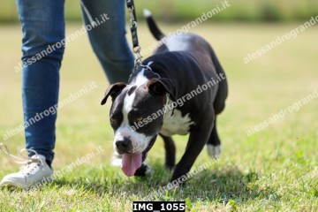 IMG_1055.jpg