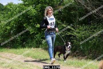 IMG_1170.jpg