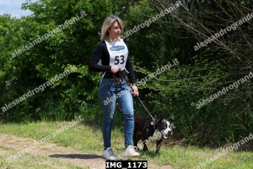 IMG_1173.jpg
