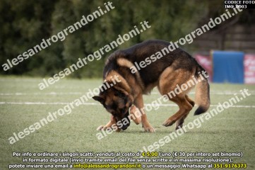 IMG_0003.jpg