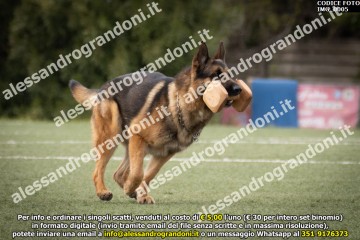 IMG_0005.jpg
