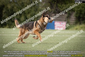 IMG_0006.jpg