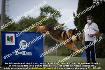 IMG_0013.jpg