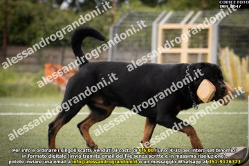IMG_0047.jpg