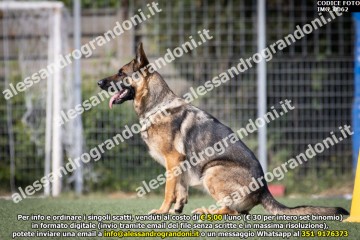 IMG_0062.jpg