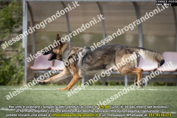IMG_0082.jpg