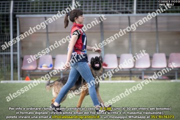 IMG_0087.jpg