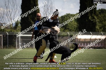 IMG_0336.jpg