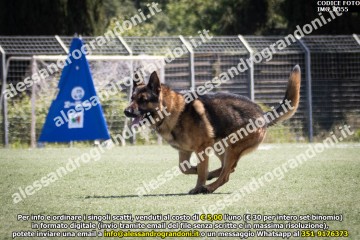 IMG_0355.jpg