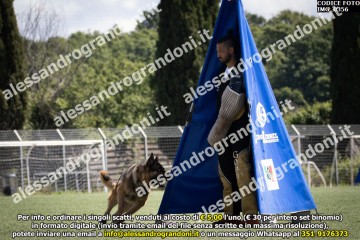 IMG_0356.jpg
