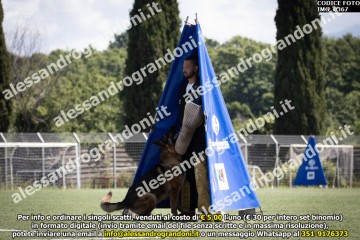 IMG_0367.jpg