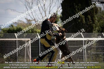 IMG_0391.jpg