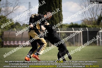 IMG_0468.jpg
