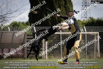 IMG_0486.jpg
