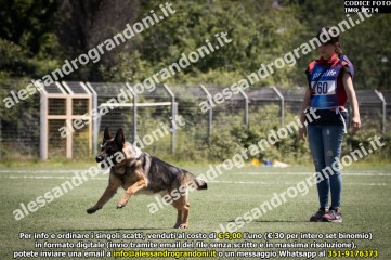 IMG_0514.jpg