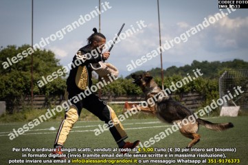 IMG_0533.jpg