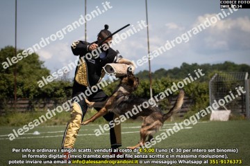 IMG_0534.jpg