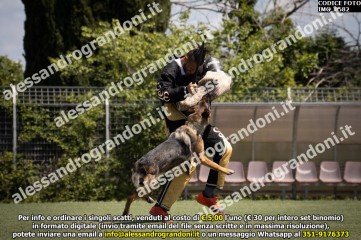 IMG_0582.jpg