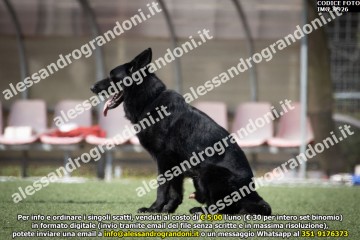 IMG_9926.jpg