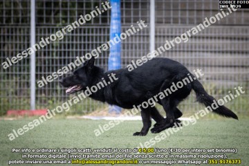 IMG_9929.jpg