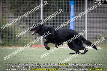 IMG_9930.jpg