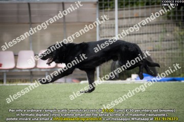 IMG_9933.jpg