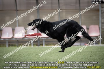 IMG_9934.jpg