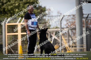 IMG_9940.jpg