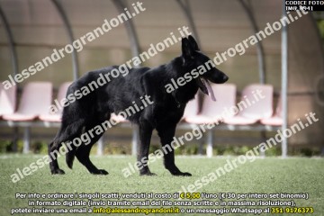 IMG_9941.jpg