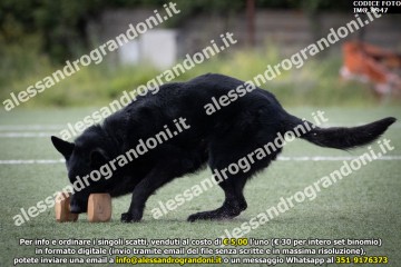 IMG_9947.jpg