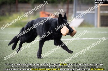 IMG_9950.jpg
