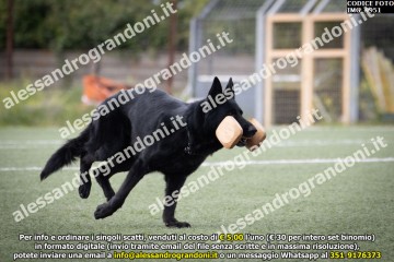 IMG_9951.jpg