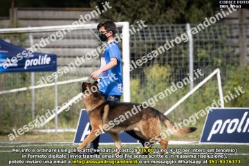 IMG_9960.jpg