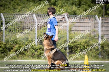 IMG_9963.jpg