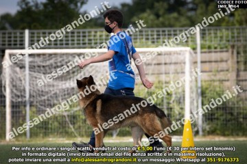 IMG_9964.jpg